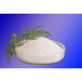 Nootropics Powder Bulk Supply Fsoracetam CAS 110958-19-5